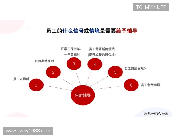 上海足球队团队协作的成功之道与战术分析探讨 上海足球队团队协作的成功之道与战术分析探讨